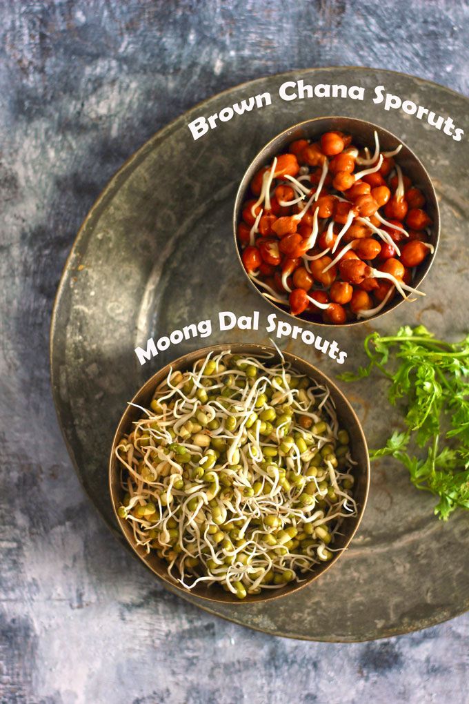 Healthy Sprout Salad Recipe